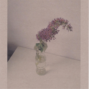 东京热一区二区三区无码
